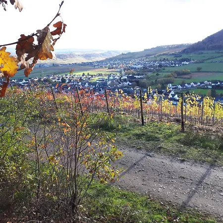 Διαμέρισμα Weinhaus Marmann