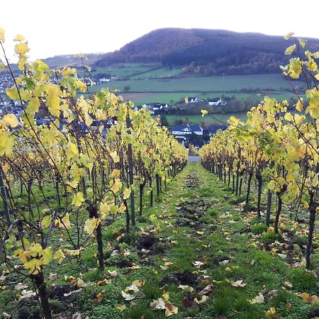 Weinhaus Marmann Διαμέρισμα